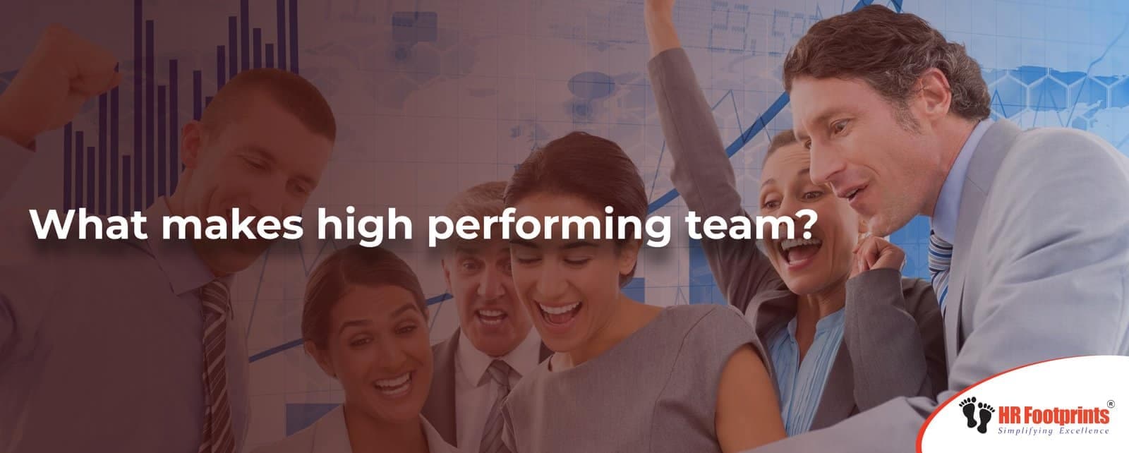 What makes high performing team?