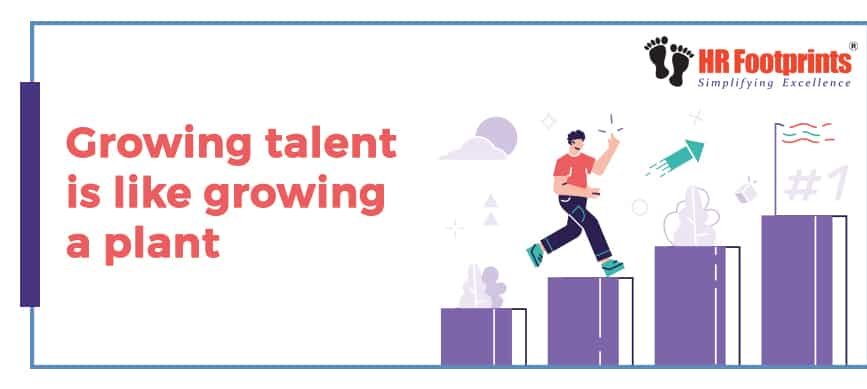 Growing talent is like growing a plant