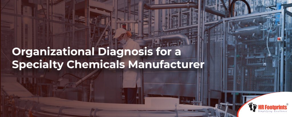 Organizational Diagnosis for a Specialty Chemicals Manufacturer